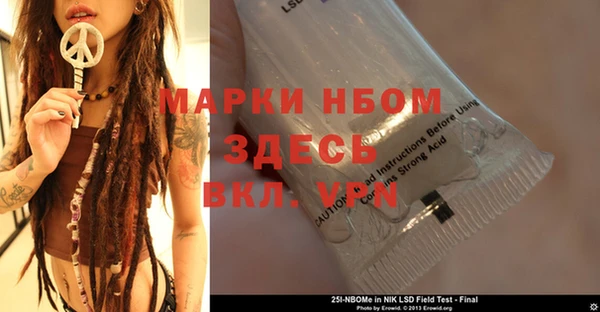 индика Инсар