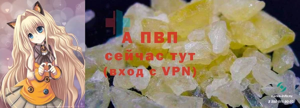 хмурый Каменка