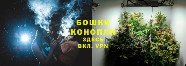 стаф Карпинск