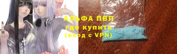 хмурый Каменка