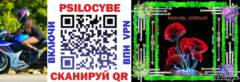 Галлюциногенные грибы Psilocybe  цена   Канаш 