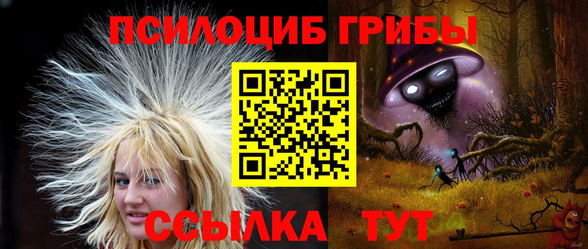 закладка  Псилоцибиновые грибы Magic Shrooms  Галлюциногенные грибы Psilocybe  Вход с VPN  Канаш 