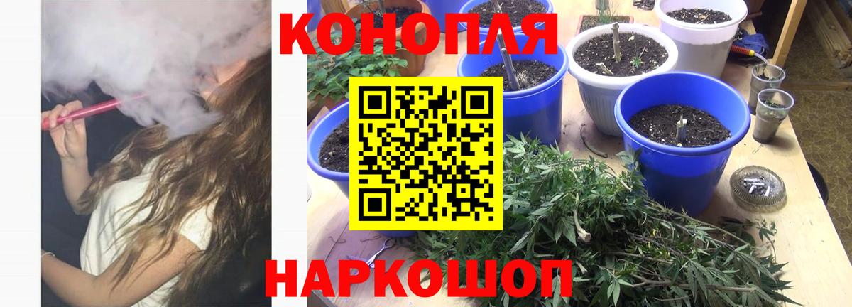 Бошки Шишки Amnesia Канаш